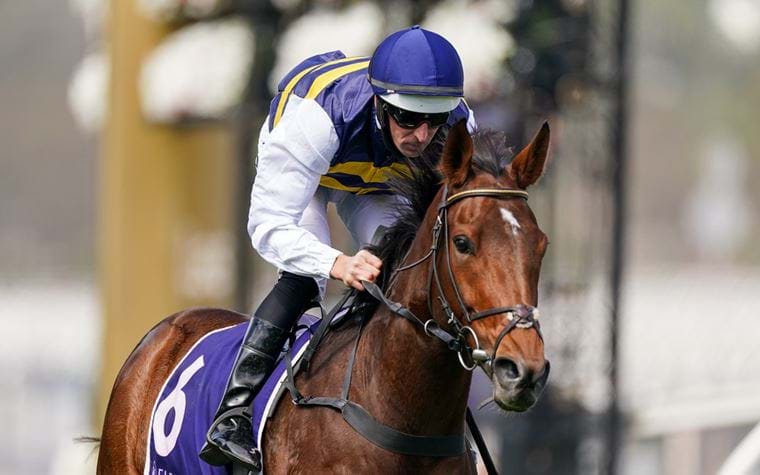 Queen Elizabeth Stakes Wrap