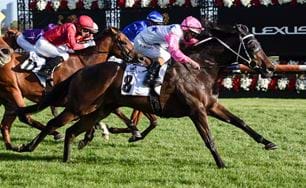 Seppelt Drumborg Grand Handicap Wrap