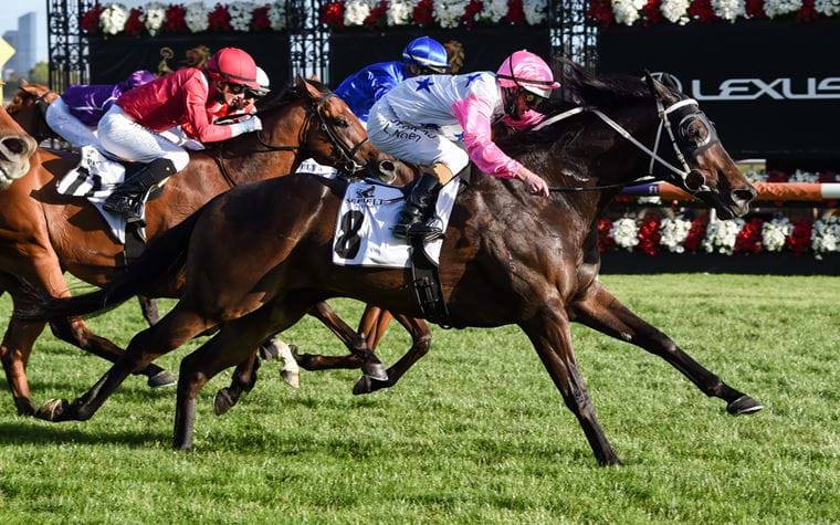 Seppelt Drumborg Grand Handicap Wrap