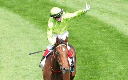 Berkeley Square new favourite for Penfolds Victoria Derby