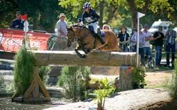 Thoroughbreds to the fore at Adelaide Equestrian Festival