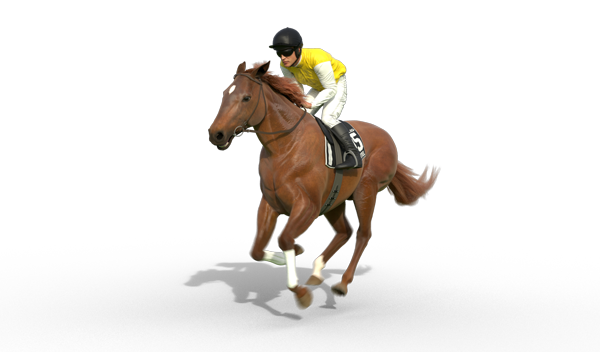 Poitrel | 1920 winner