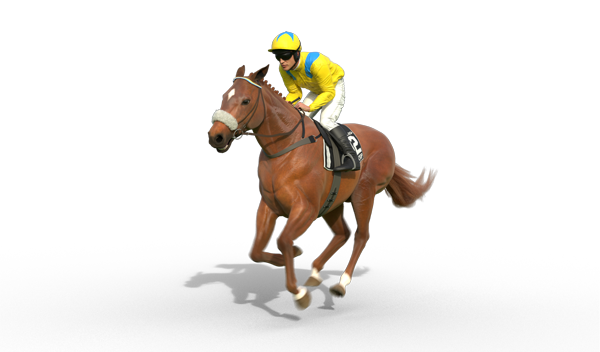Vintage Crop | 1993 winner