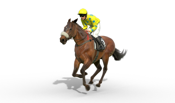 Dunaden | 2011 winner