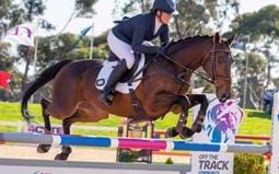 Retired racehorses reign supreme at Melbourne International Three Day Event