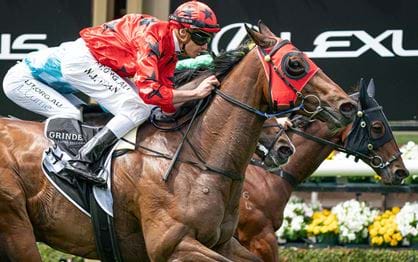 Record engagement for Melbourne Cup Carnival 2021