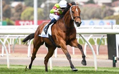 Network 10 Chatham Stakes Wrap