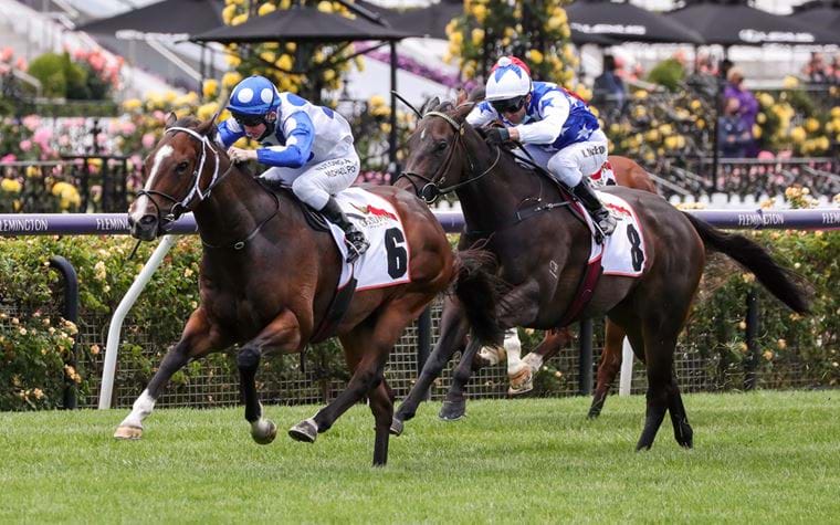G.H. Mumm Century Stakes Wrap
