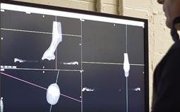 Evidence-based research program preventing injuries in racehorses
