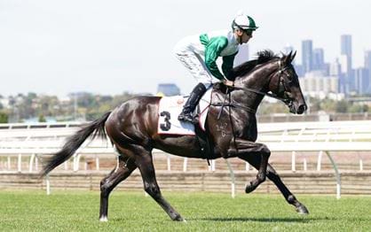 VRC St Leger: A story of hanging tough