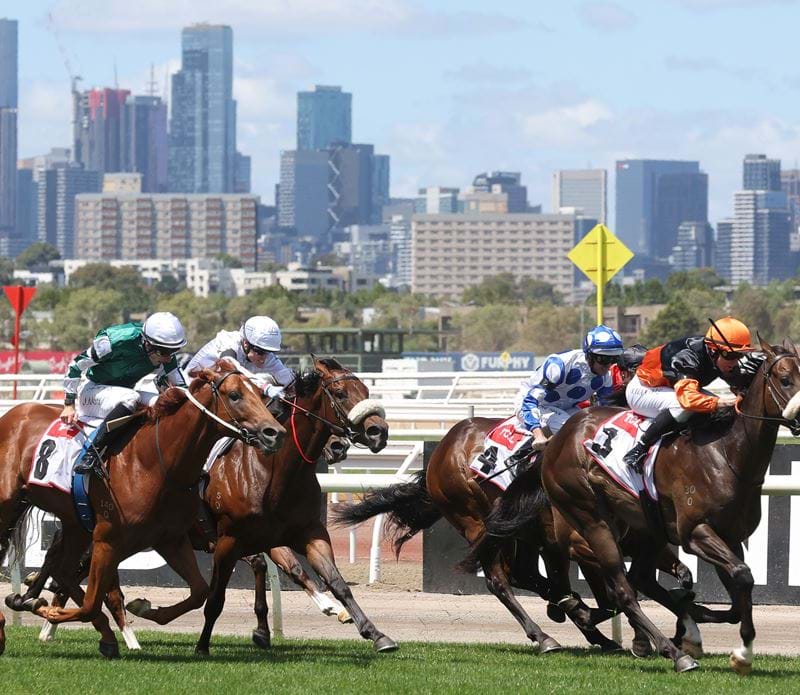 2023 Flemington Race Day Pass VRC Tickets General Admission