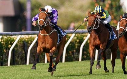 Furphy Sprint Wrap