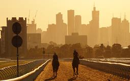 Flemington facilities set the standard for the training of racehorses