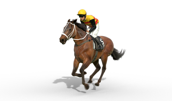 Grand Flaneur | 1880 winner