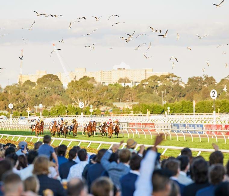 Flemington Races Saturday Results 2024 Sarah Carroll