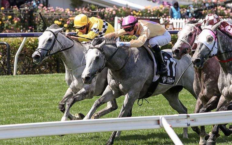 Off The Track Subzero Handicap Wrap