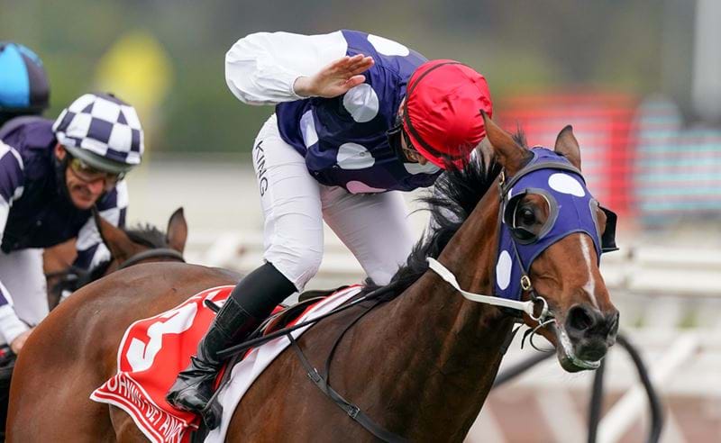 AAMI Victoria Derby Wrap