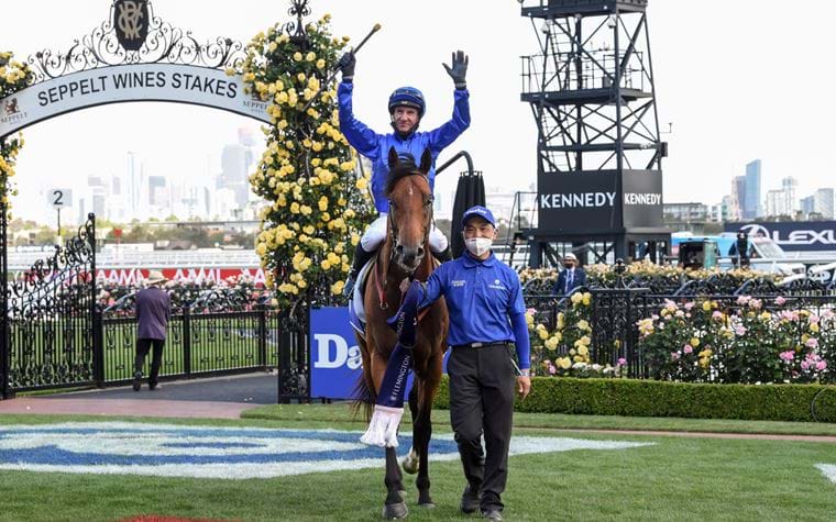 Darley Sprint Classic Wrap