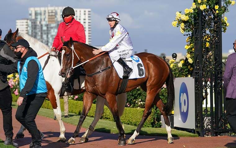 Network 10 Red Roses Stakes Wrap