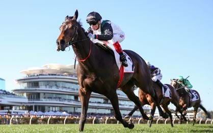 Mr Brightside looking for redemption in Australian Cup