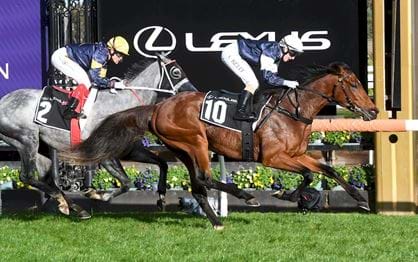 Team Williams eyes eighth Lexus Melbourne Cup with Ramsden winner Point Nepean