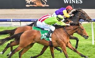 TAB Matriarch Stakes Wrap