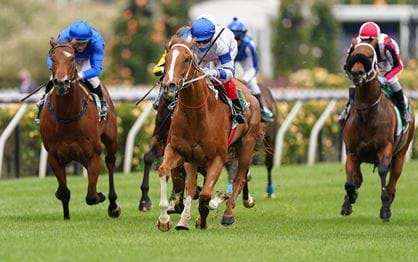 TAB Stakes Wrap